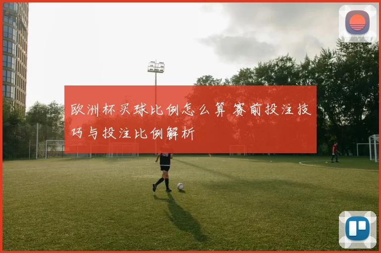 欧洲杯买球比例怎么算 赛前投注技巧与投注比例解析