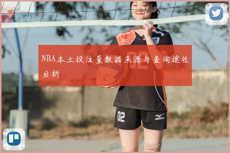NBA本土投注量数据来源与查询途径分析