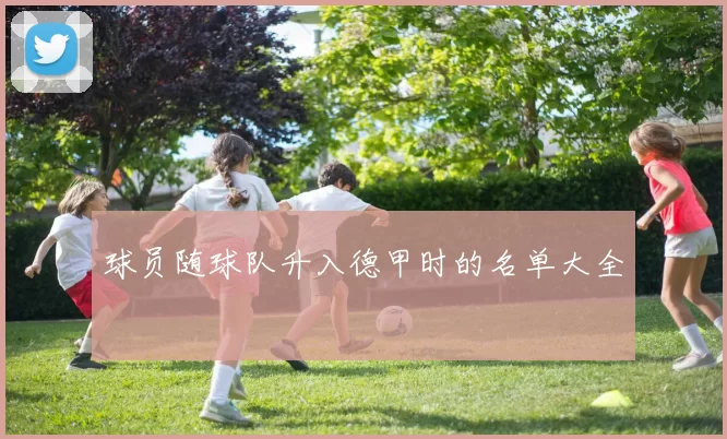 球员随球队升入德甲时的名单大全