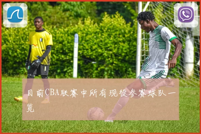 目前CBA联赛中所有现役参赛球队一览