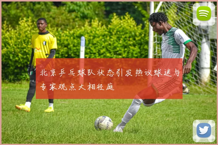 北京乒乓球队状态引发热议球迷与专家观点大相径庭