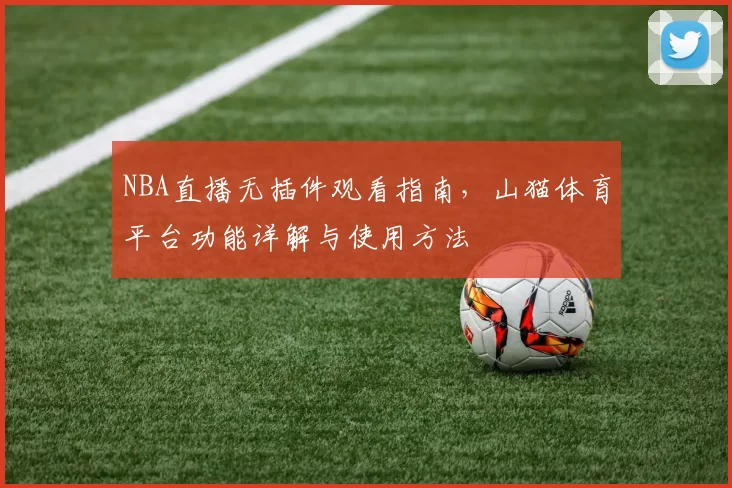 NBA直播无插件观看指南,山猫体育平台功能详解与使用方法