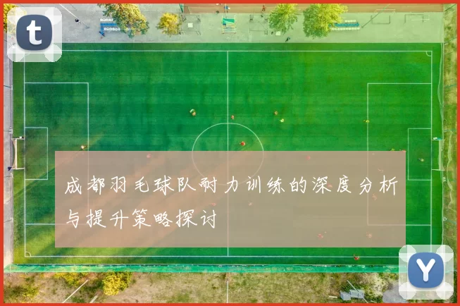 成都羽毛球队耐力训练的深度分析与提升策略探讨