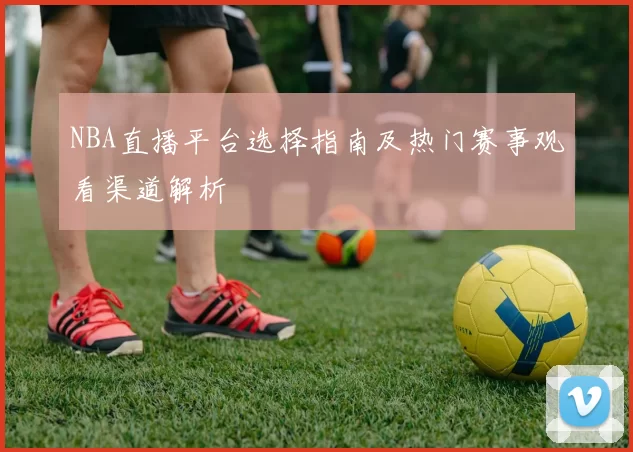 NBA直播平台选择指南及热门赛事观看渠道解析