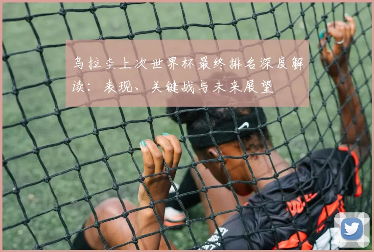 乌拉圭上次世界杯最终排名深度解读：表现、关键战与未来展望