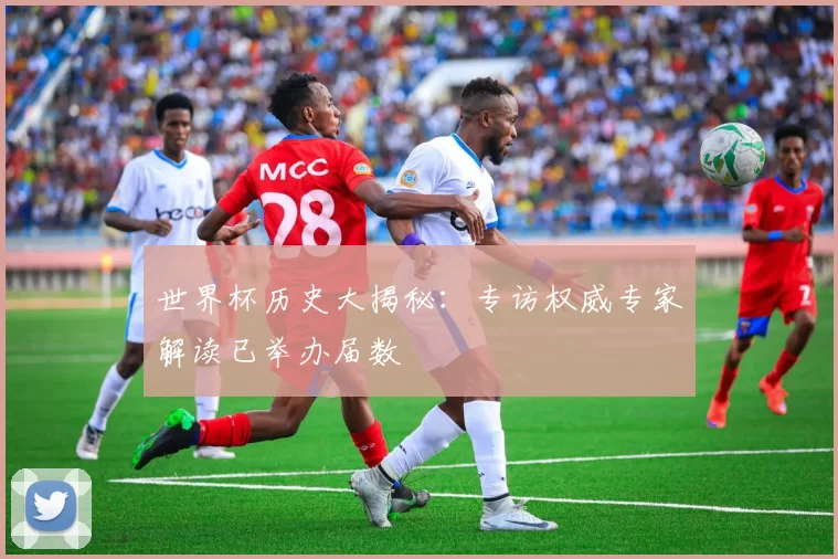 世界杯历史大揭秘:专访权威专家解读已举办届数