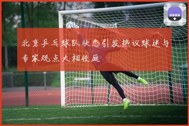北京乒乓球队状态引发热议球迷与专家观点大相径庭