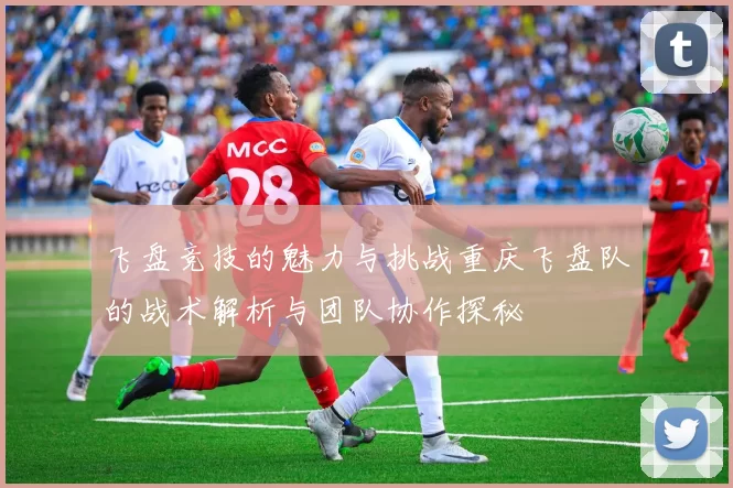 飞盘竞技的魅力与挑战重庆飞盘队的战术解析与团队协作探秘