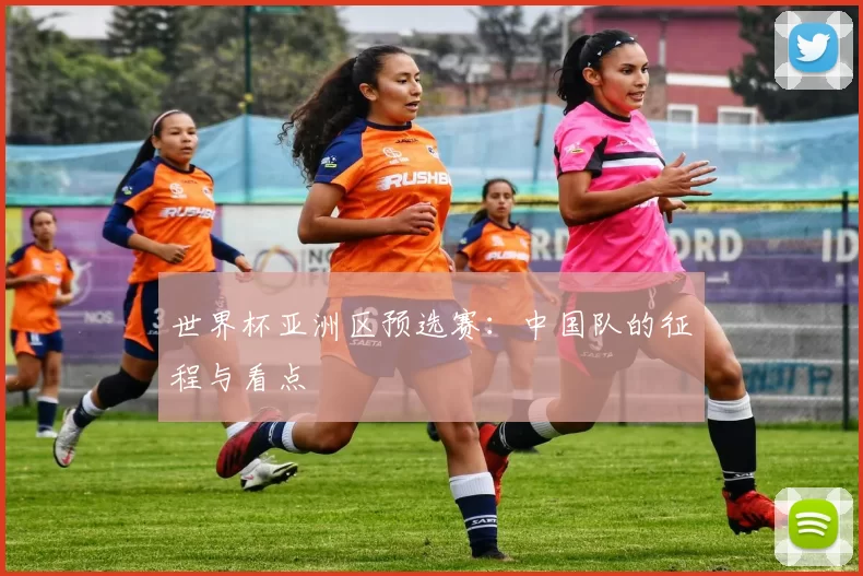 世界杯亚洲区预选赛:中国队的征程与看点