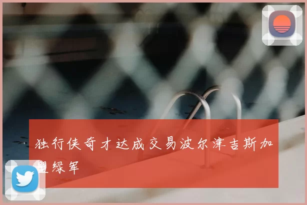 独行侠奇才达成交易波尔津吉斯加盟绿军