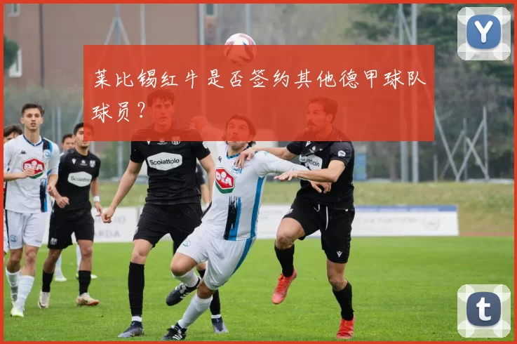 莱比锡红牛是否签约其他德甲球队球员？