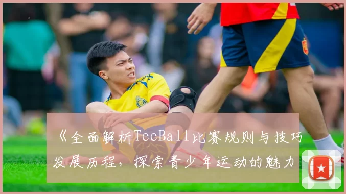《全面解析TeeBall比赛规则与技巧发展历程，探索青少年运动的魅力与成长》