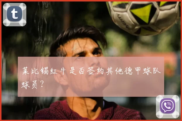 莱比锡红牛是否签约其他德甲球队球员？