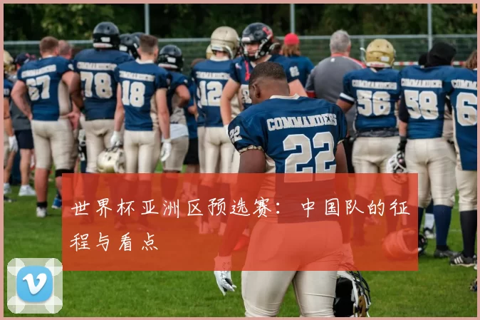 世界杯亚洲区预选赛：中国队的征程与看点