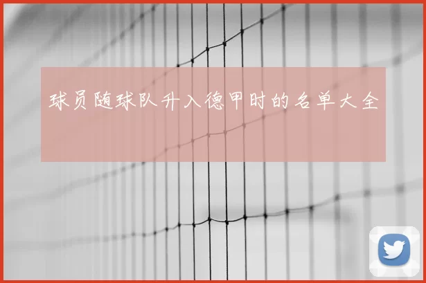 球员随球队升入德甲时的名单大全